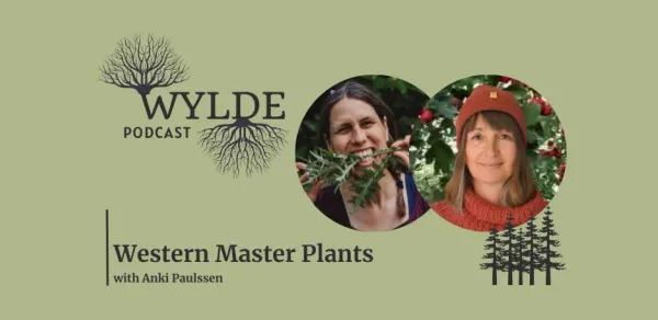Podcast met Lieve van Wild Plant Voyager